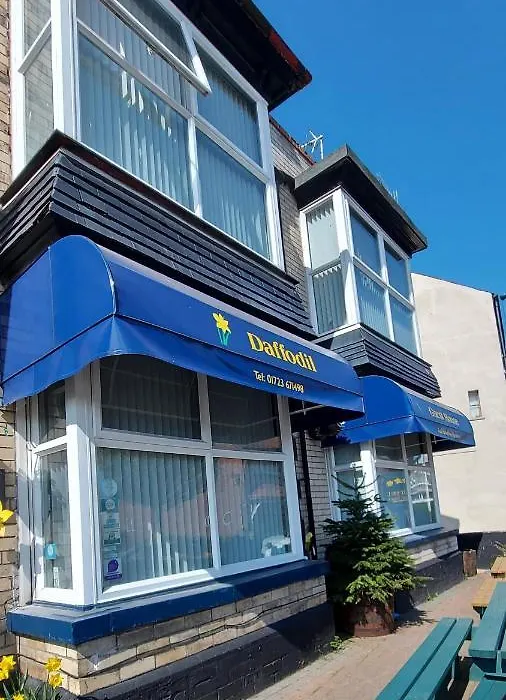 Daffodil Guest House-1